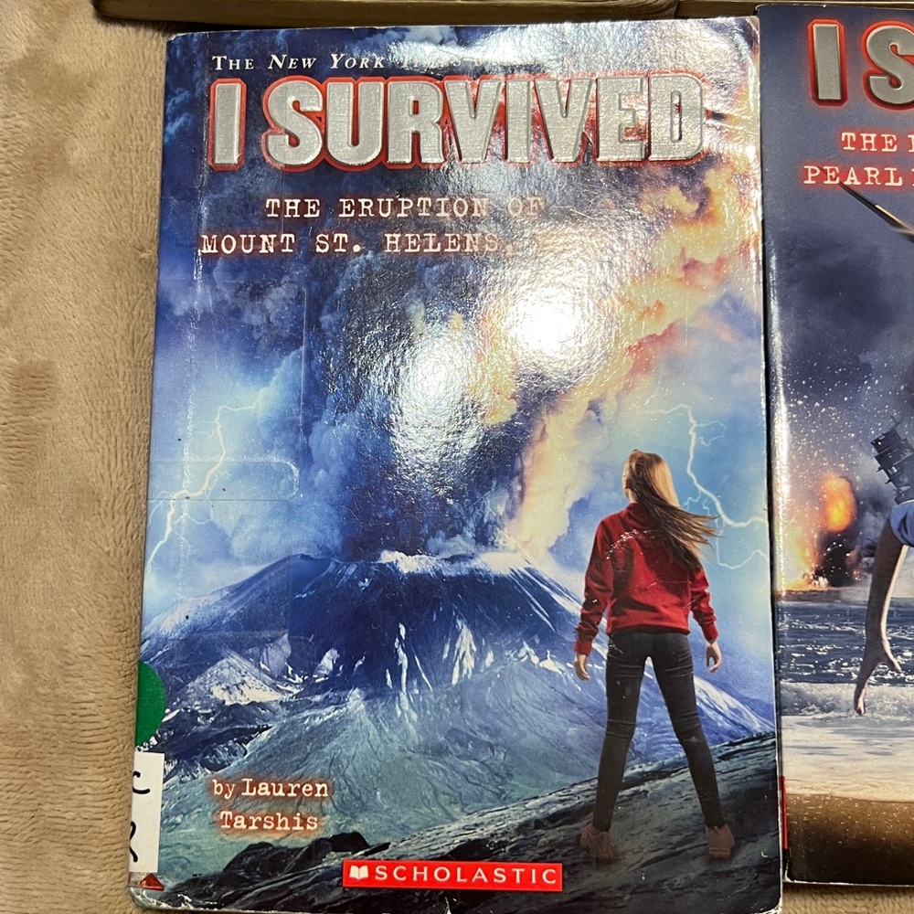 I Survived Book Collection - Picture 3 of 10